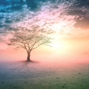 WSPÓŁPRACA + PIERWSZA KONSULTACJA