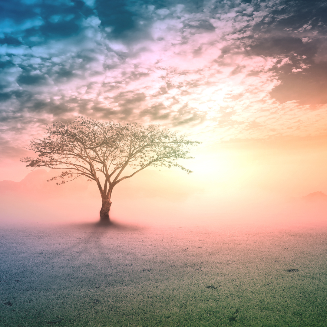 WSPÓŁPRACA + PIERWSZA KONSULTACJA