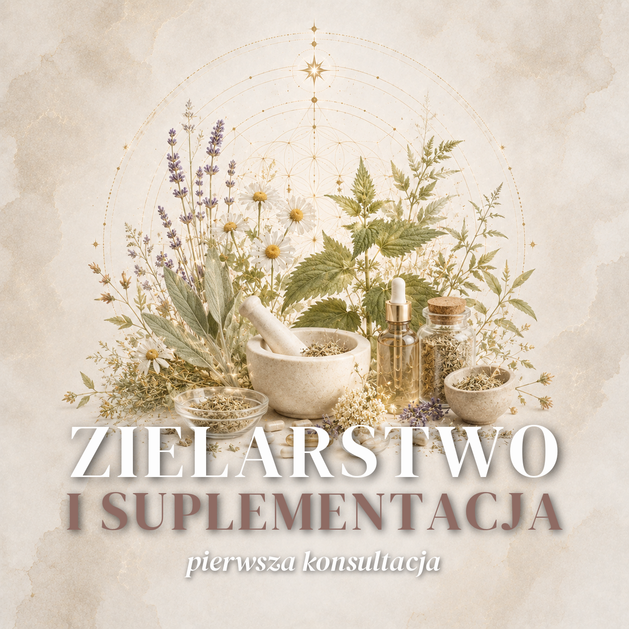 ZIELARSTWO I SUPLEMENTACJA - pierwsza konsultacja